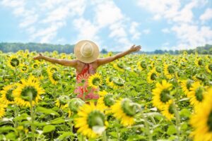 sunflowers, sunflower field, woman