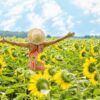 sunflowers, sunflower field, woman