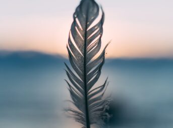 tilt shift lens photography of person holding white feather